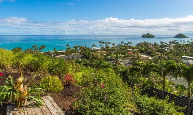 Featured Agent: Alesia Barnes of Barnes Hawaii Real Estate Group